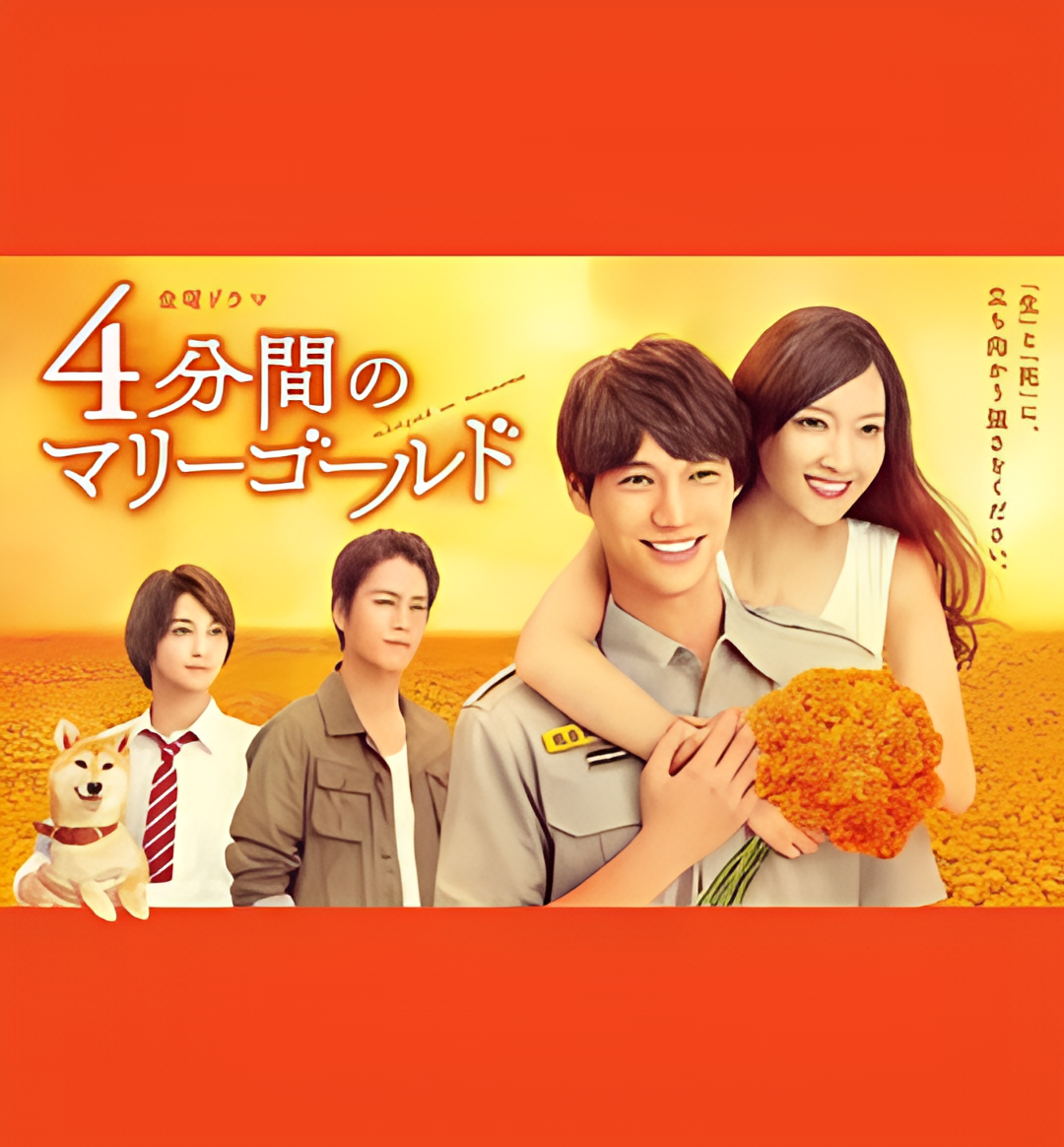 四分钟的金盏菊