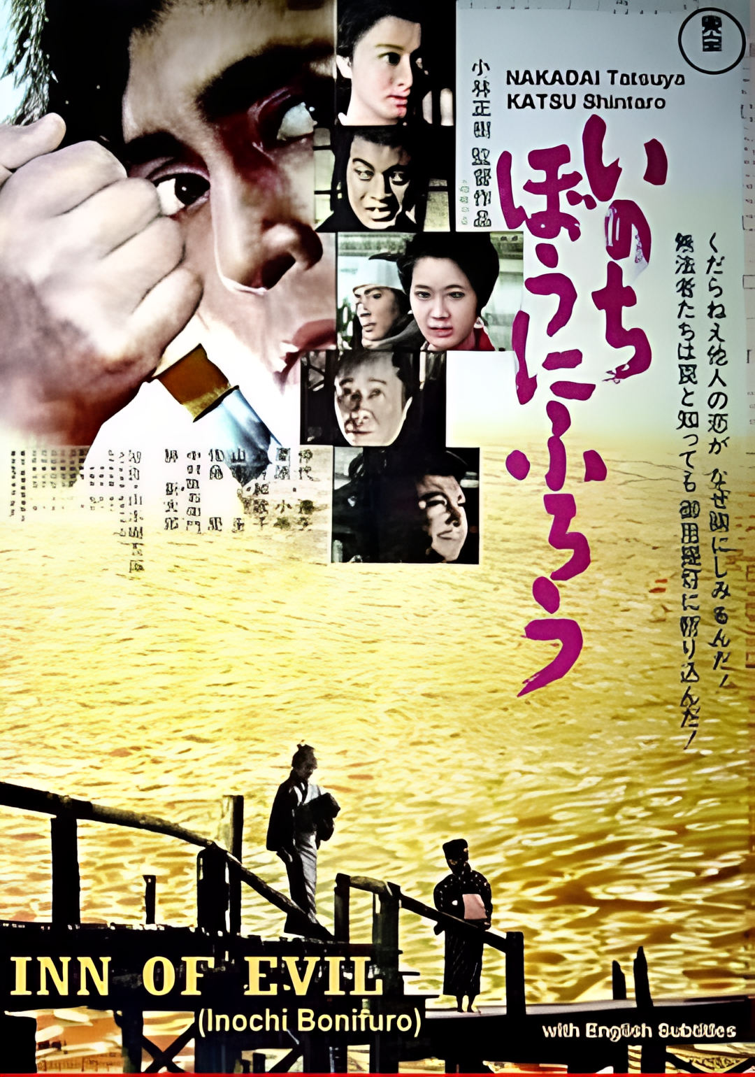 在我冒险的日子