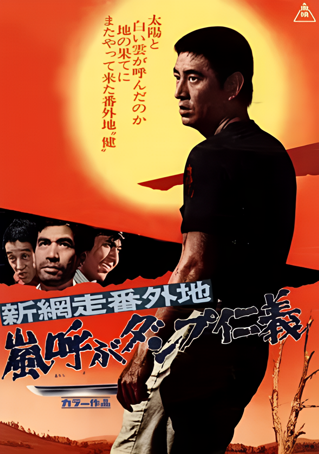 新网走番外地：暴风般仁义